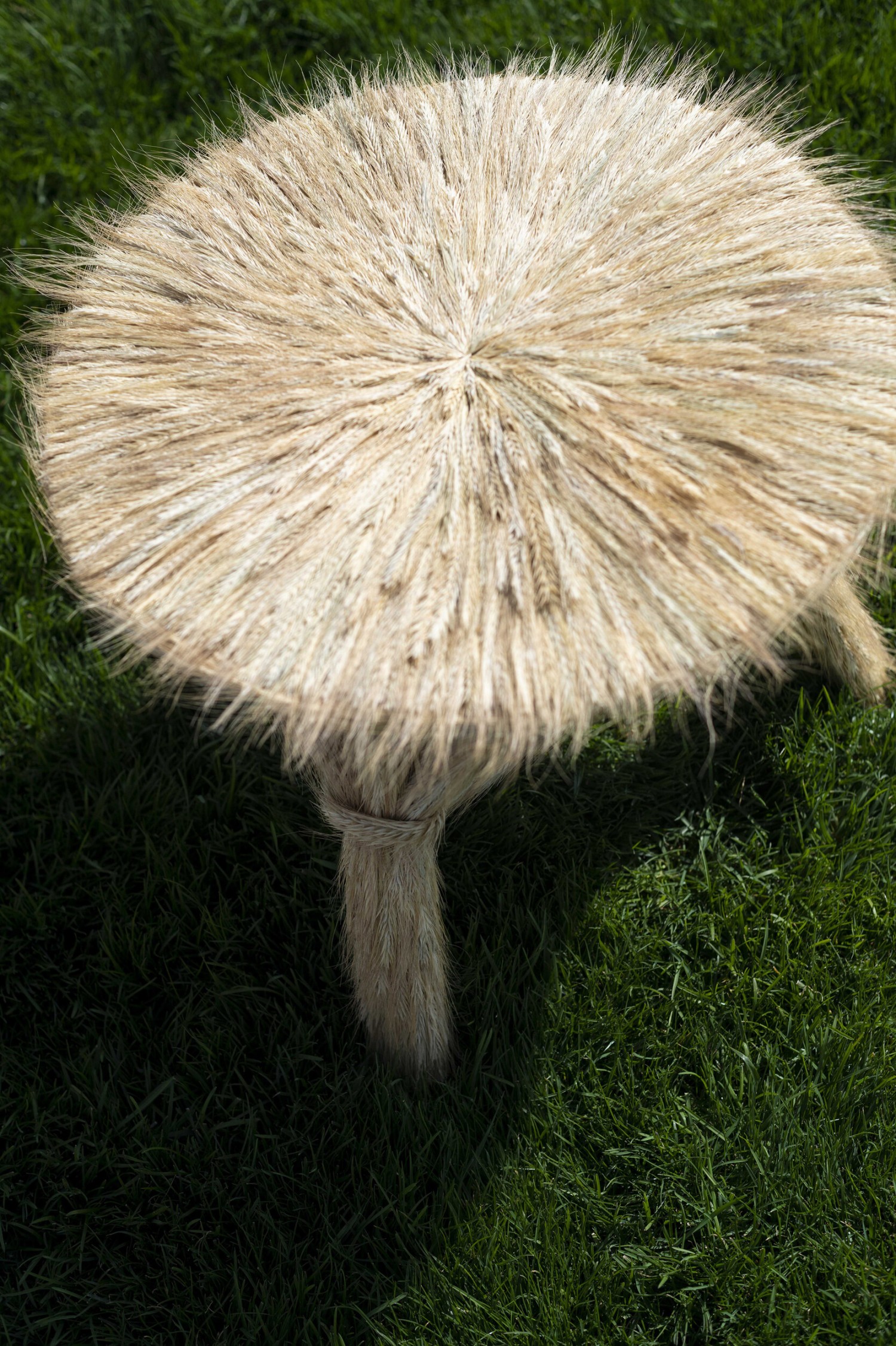 dsc9739.jpg