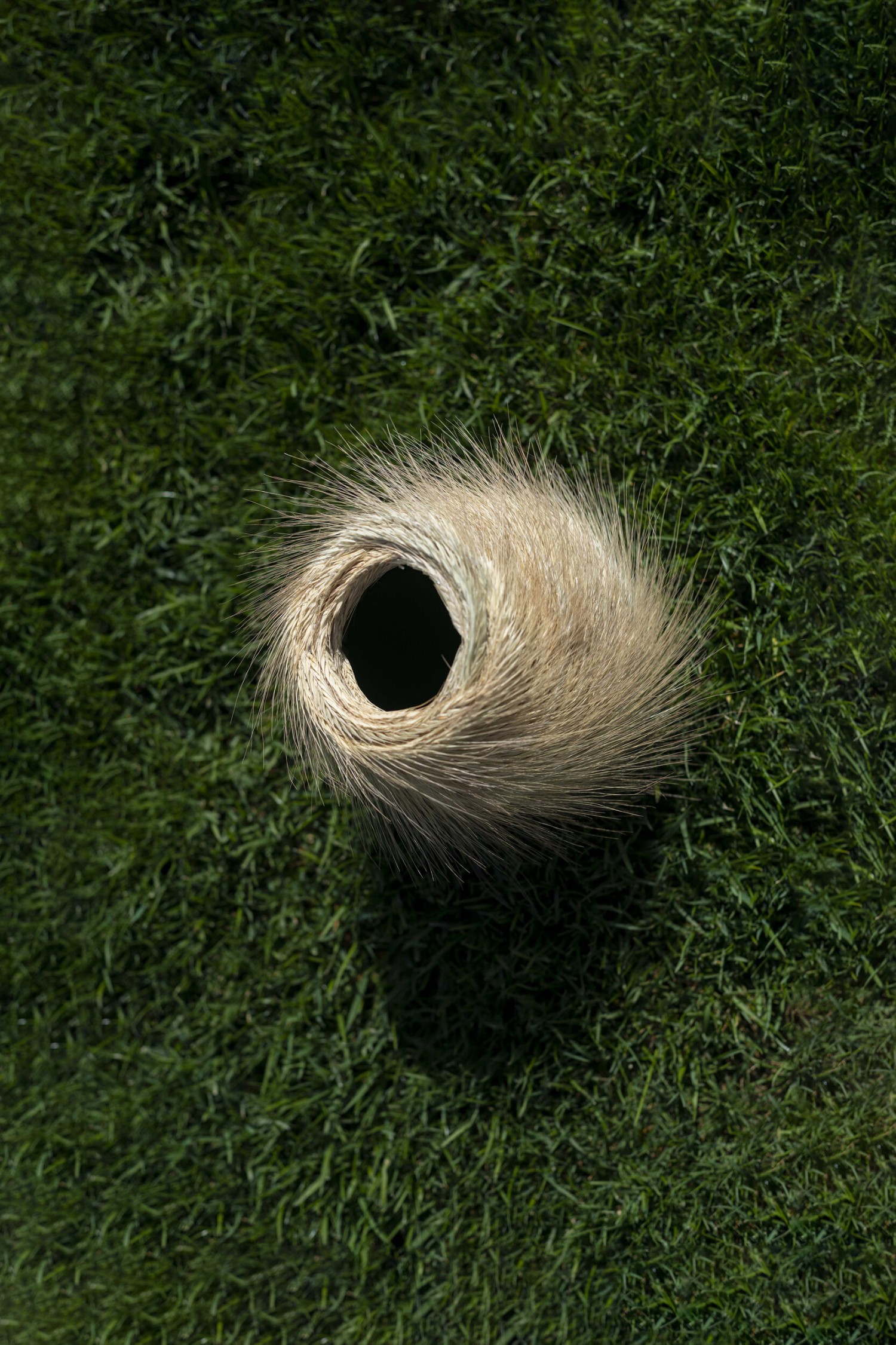 dsc9740-copie.jpg