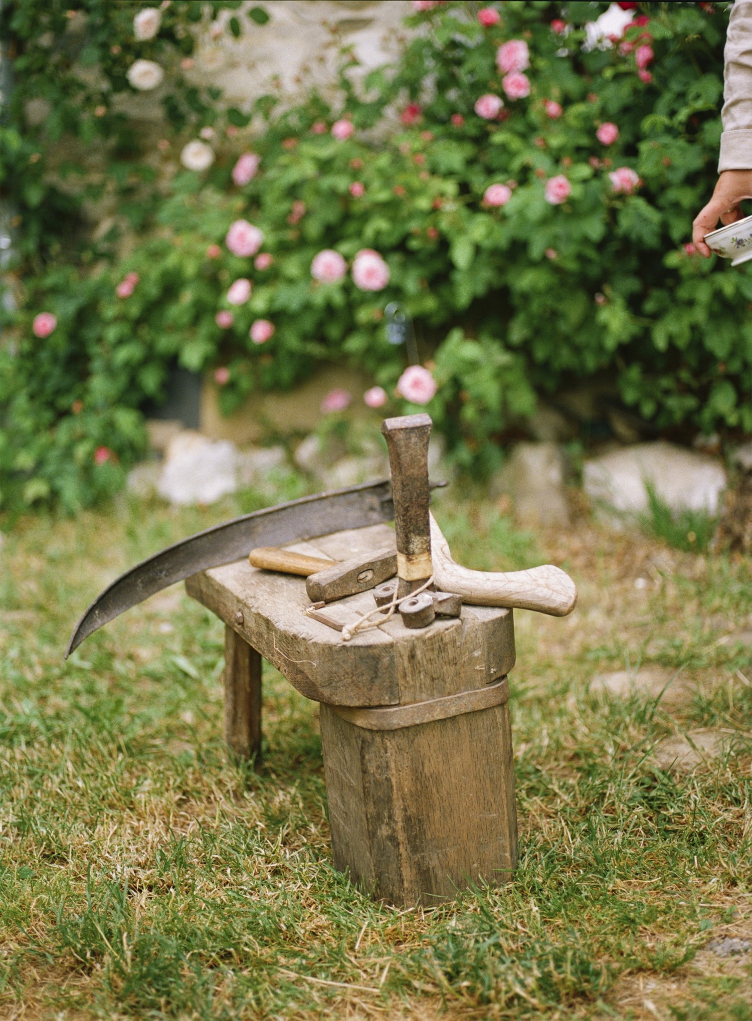 0443-15-copie-copie.jpg