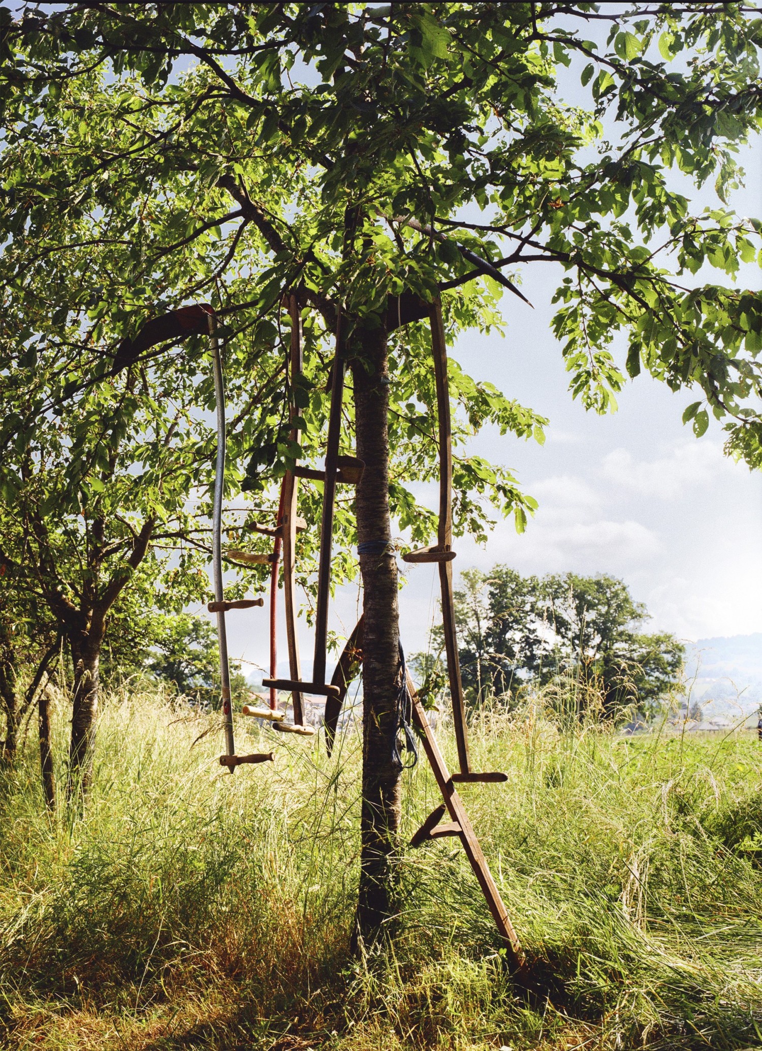 0428-06-copie-copie.jpg