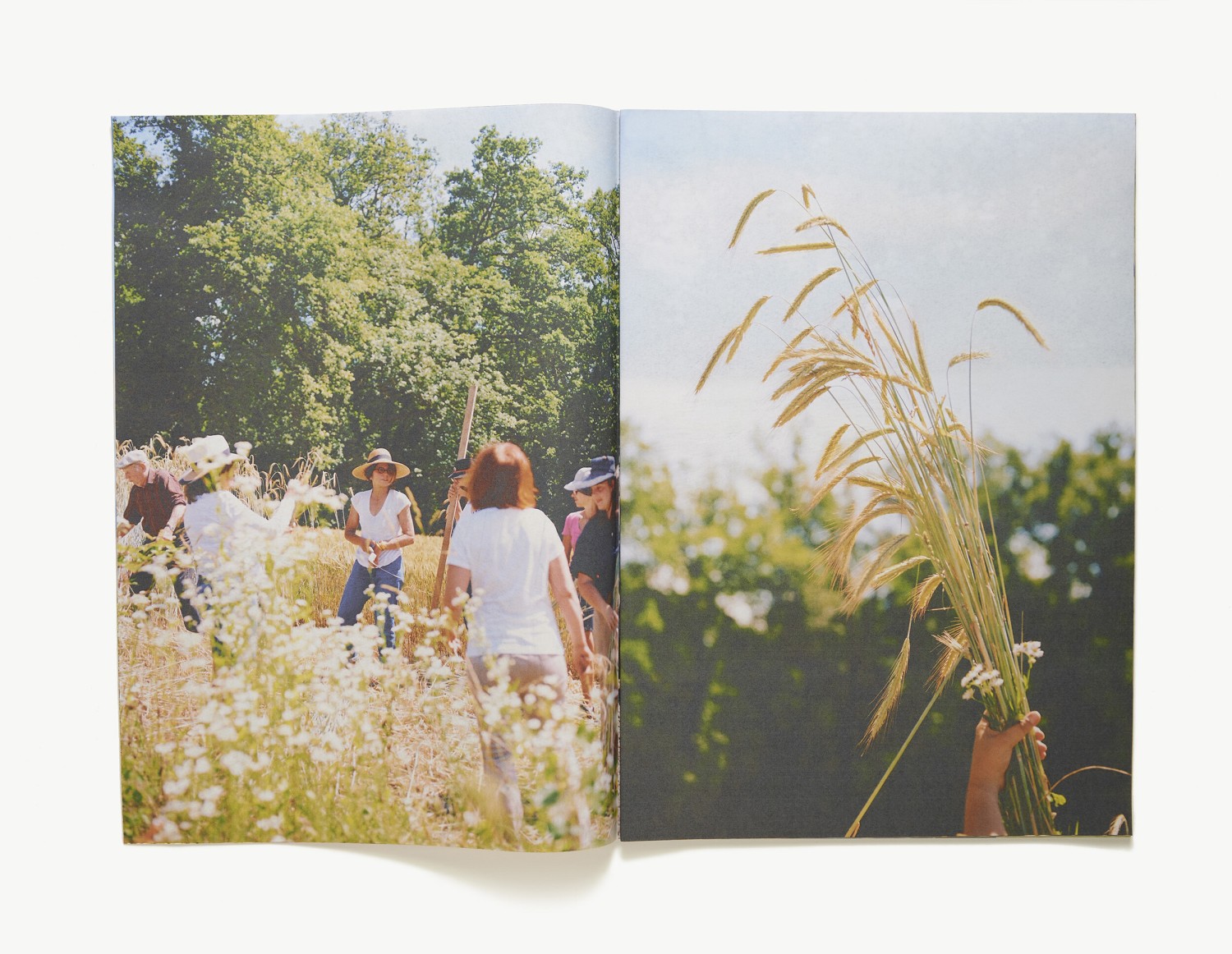bouquet_de_moisson_5615.jpg